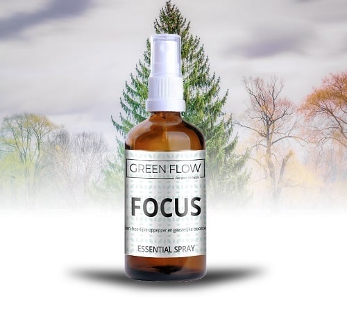 Focus - 100 ml - Room Spray - Green Flow