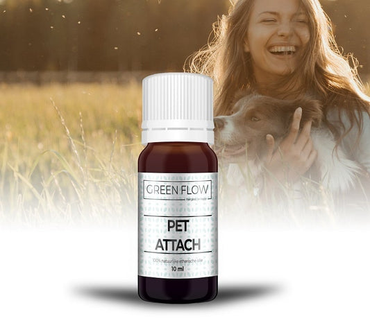 Pet Attach - 10 ml - Green Flow